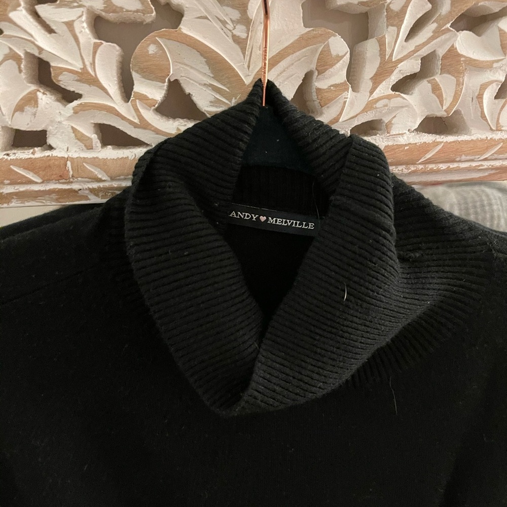 Brandy Melville Turtle Neck Sweater in Black